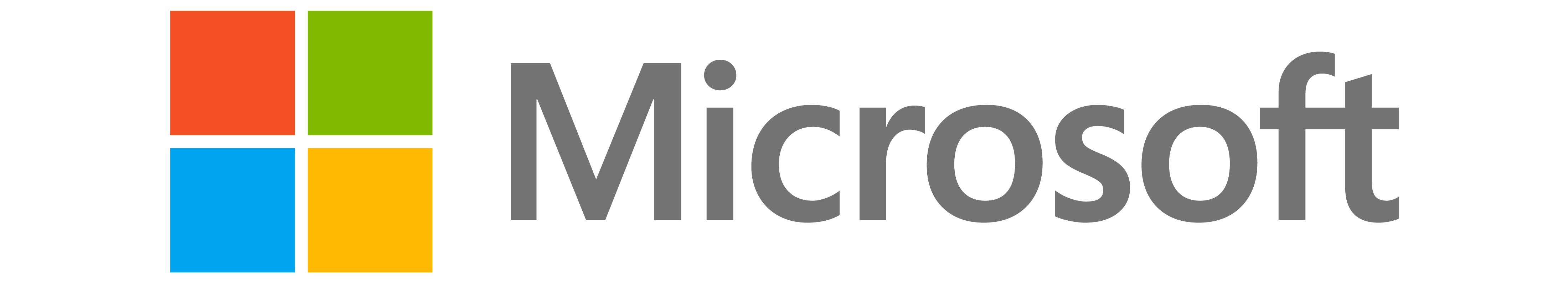 Microsoft DNS Server logo